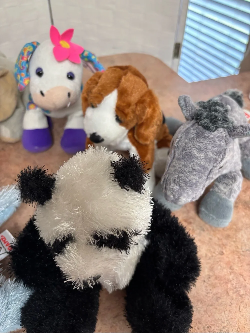 webkinz bundle 13
